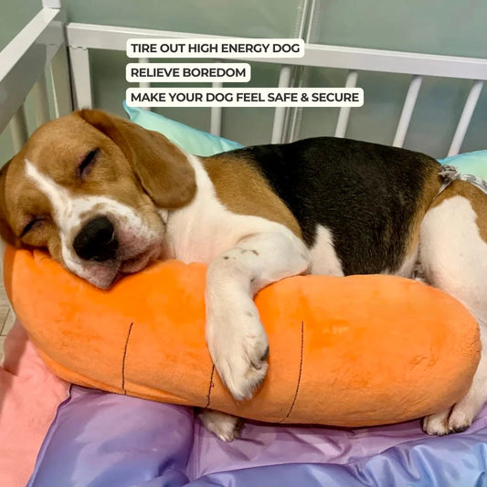 Calming Carrot — Plush Comfort Toy - Image 2