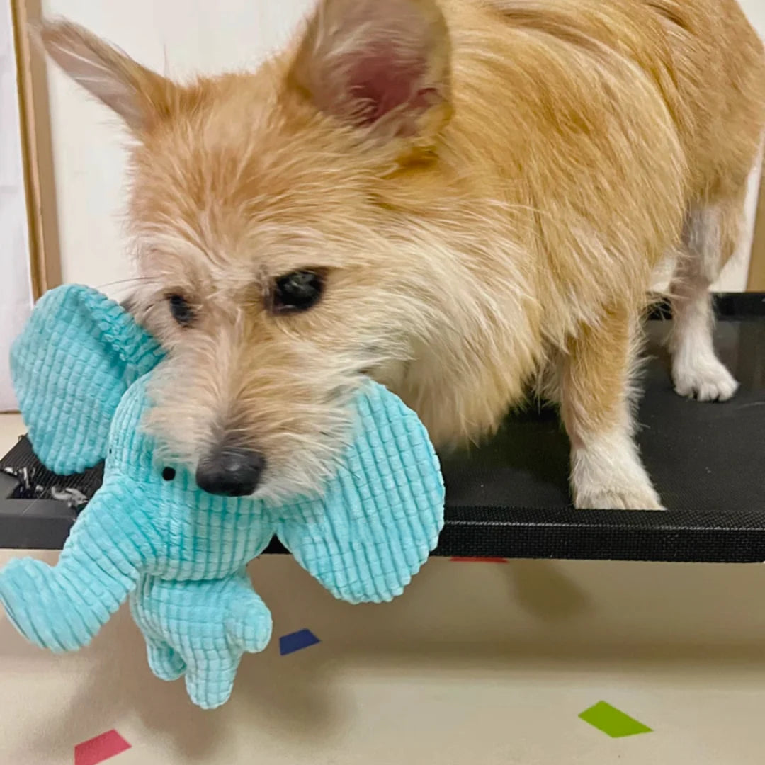 Calming Elephant — Plush Comfort Toy - Image 6