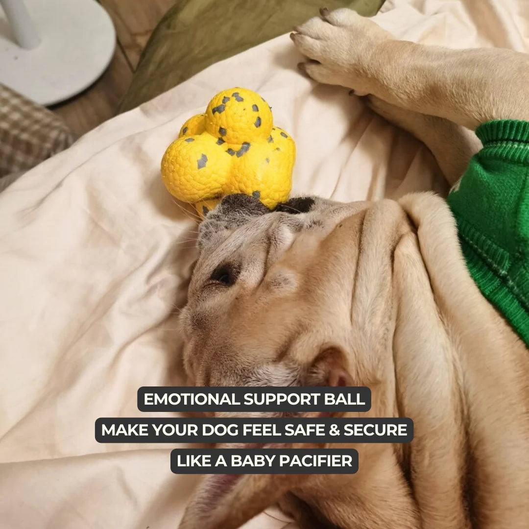 Calming Ball — Anti-Anxiety Sensory Toy - Image 5