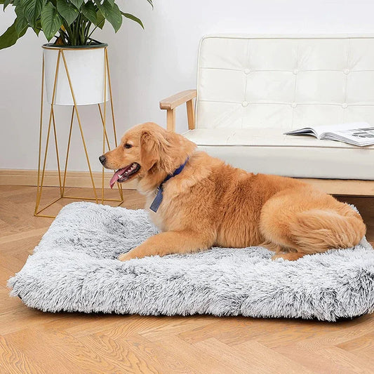 Calming Cushion — Orthopedic Memory Foam Pet Mat - Image 1