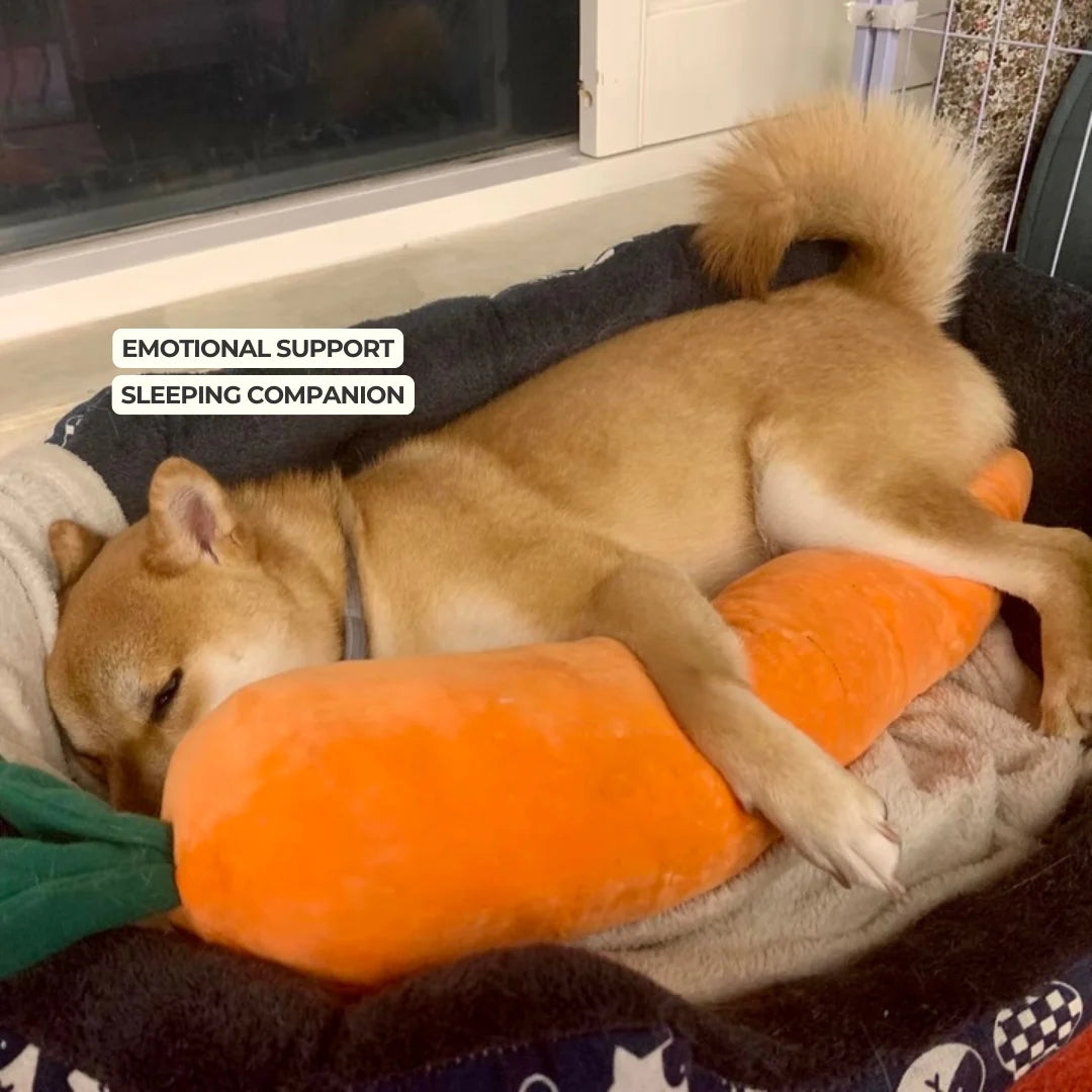Calming Carrot — Plush Comfort Toy - Image 5