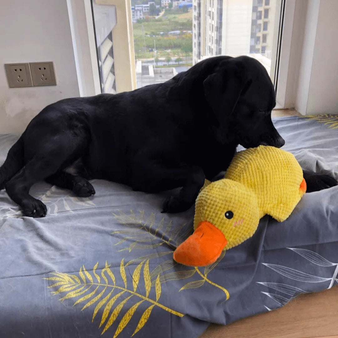 The Calming Duck™ — Heartbeat Comfort & Anxiety Relief Toy - Image 5