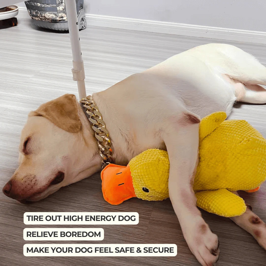 The Calming Duck™ — Heartbeat Comfort & Anxiety Relief Toy - Image 1