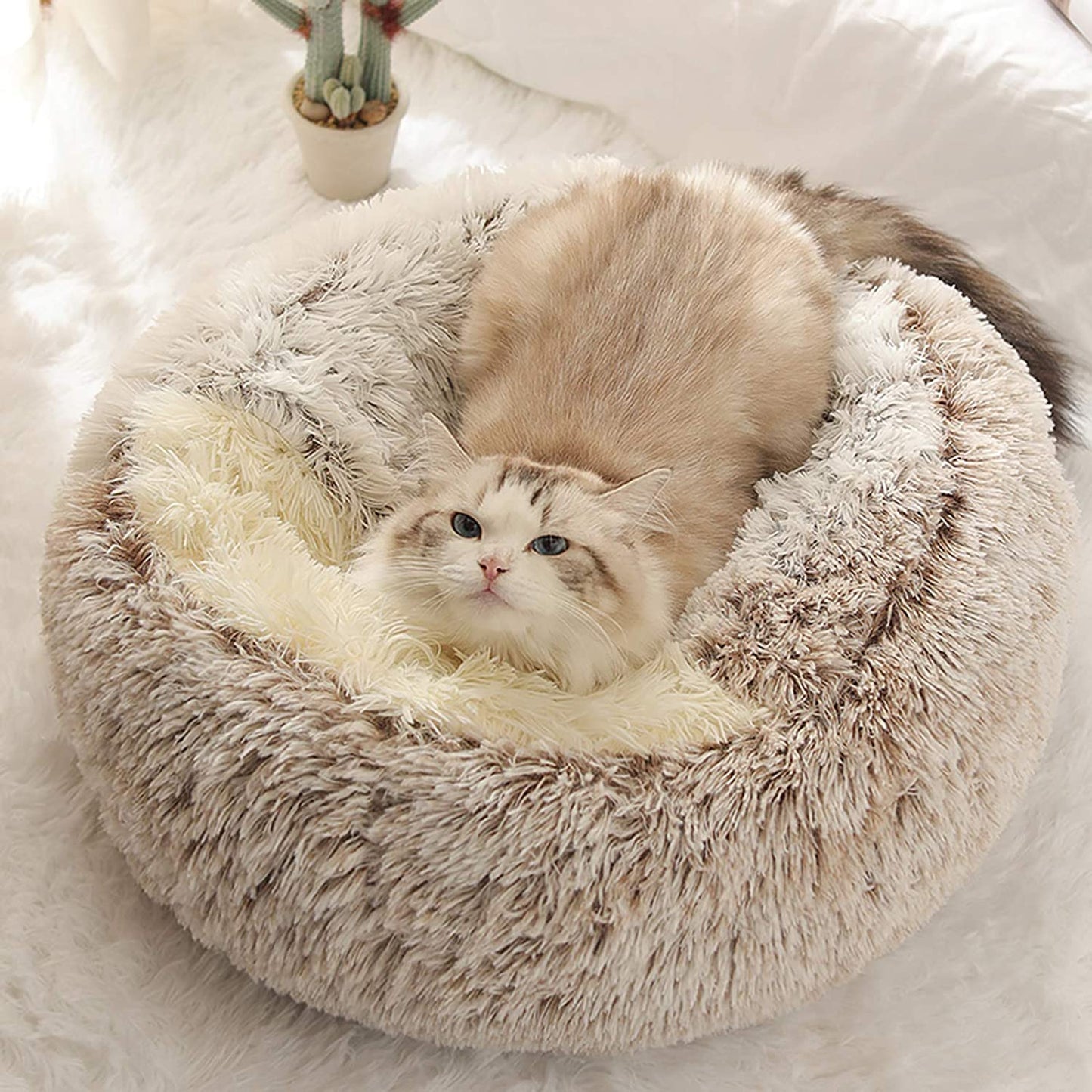 Calming Cave Bed — Cozy Enclosed Pet Sanctuary - Image 2