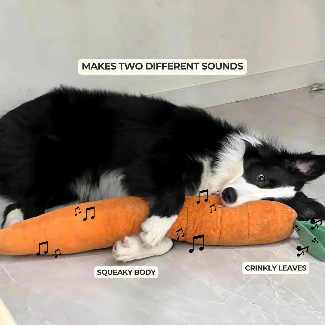 Calming Carrot — Plush Comfort Toy - Image 9