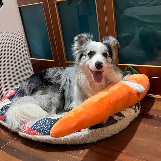 Calming Carrot — Plush Comfort Toy - Image 1