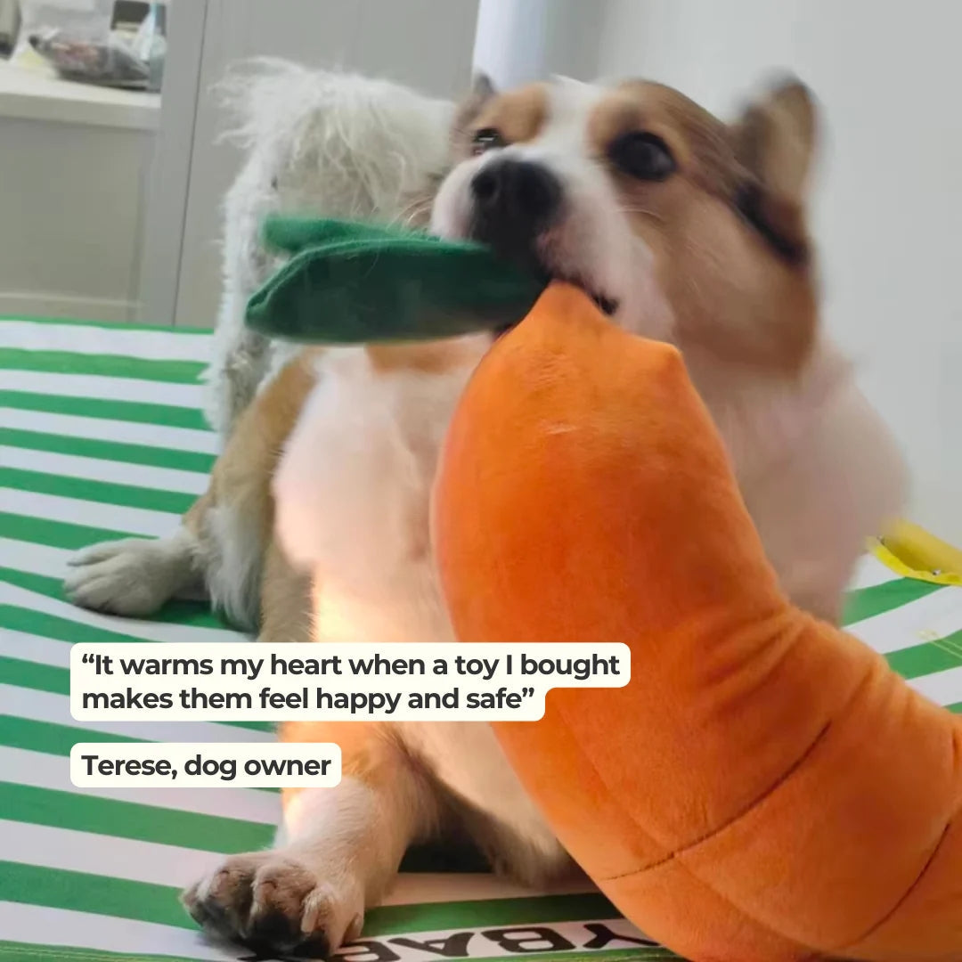 Calming Carrot — Plush Comfort Toy - Image 8