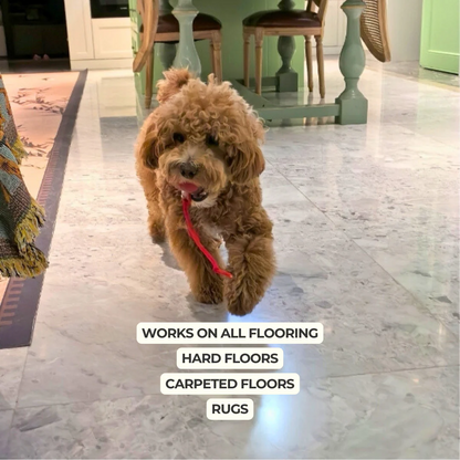 Interactive Dog Walker — Anti-Anxiety Automatic Toy - Image 4