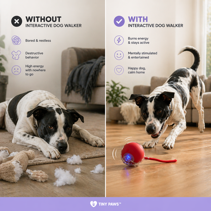 Interactive Dog Walker — Anti-Anxiety Automatic Toy - Image 5