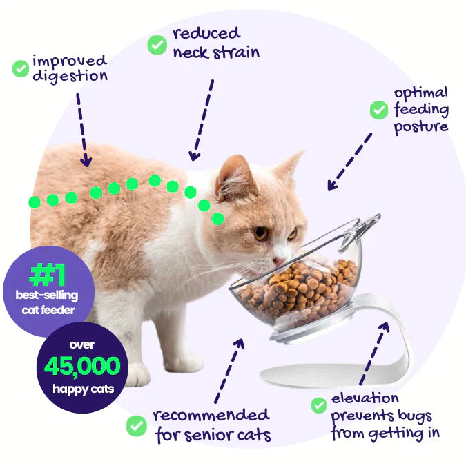 Anti-Vomit Cat Bowl — Elevated Non-Slip Double Feeder - Image 1