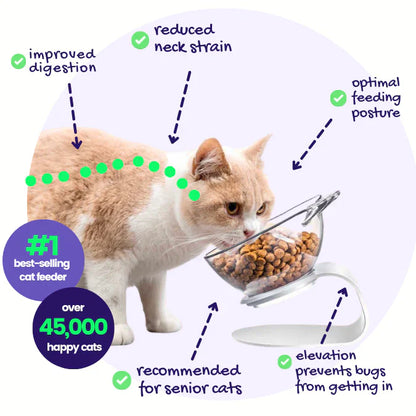 Anti-Vomit Cat Bowl — Elevated Non-Slip Double Feeder - Image 1