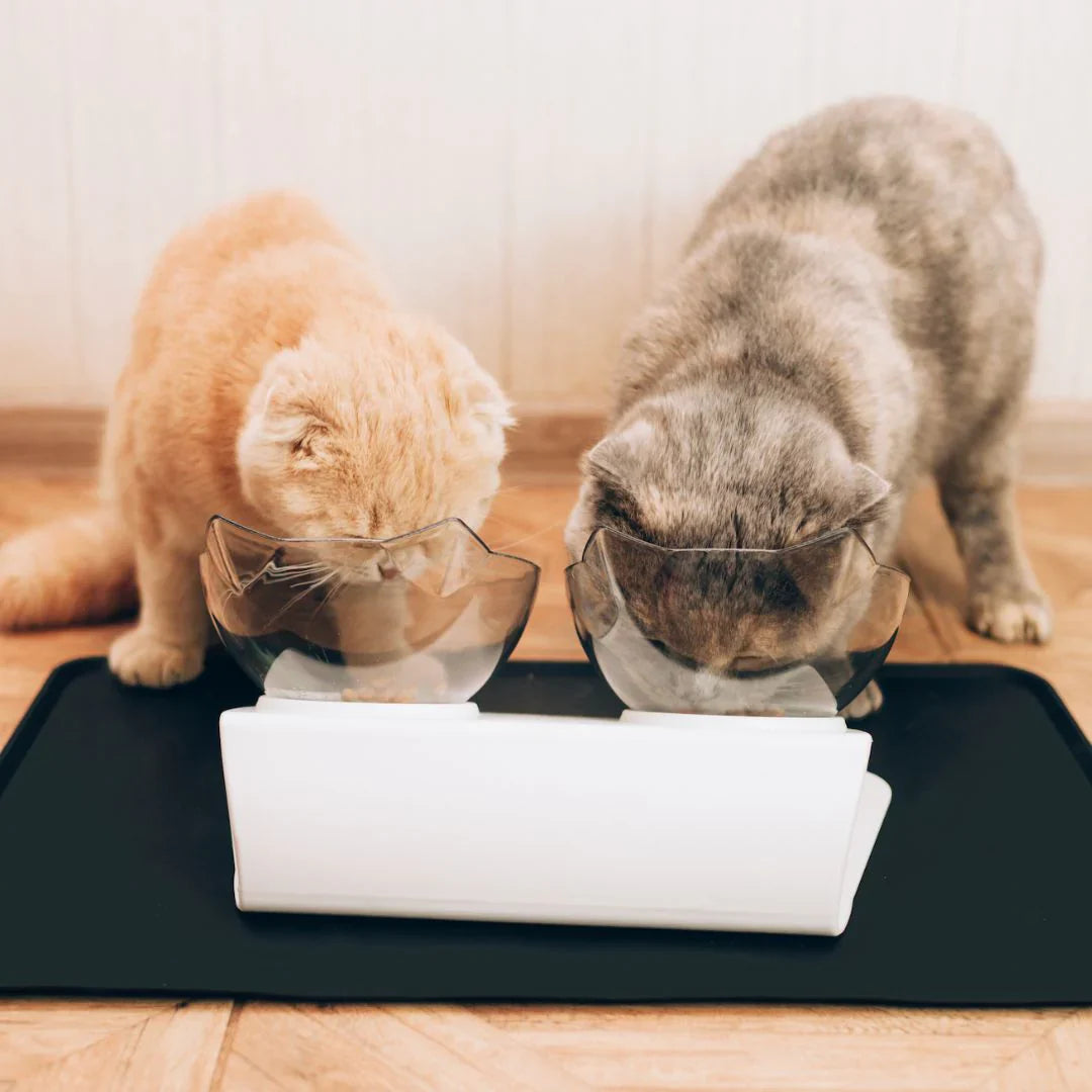 Anti-Vomit Cat Bowl — Elevated Non-Slip Double Feeder - Image 3