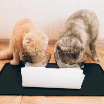 Anti-Vomit Cat Bowl — Elevated Non-Slip Double Feeder - Image 3