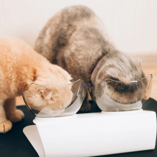 Anti-Vomit Cat Bowl — Elevated Non-Slip Double Feeder - Image 2