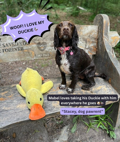 The Calming Duck™ — Heartbeat Comfort & Anxiety Relief Toy - Image 3
