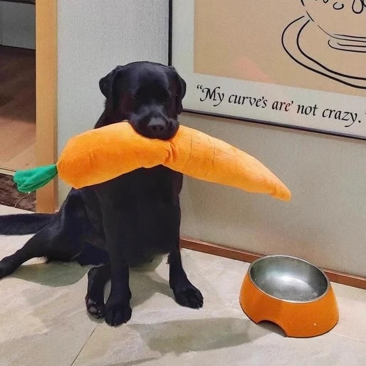 Calming Carrot — Plush Comfort Toy - Image 13