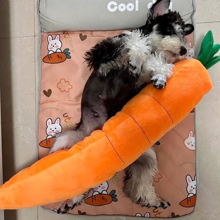 Calming Carrot — Plush Comfort Toy - Image 10