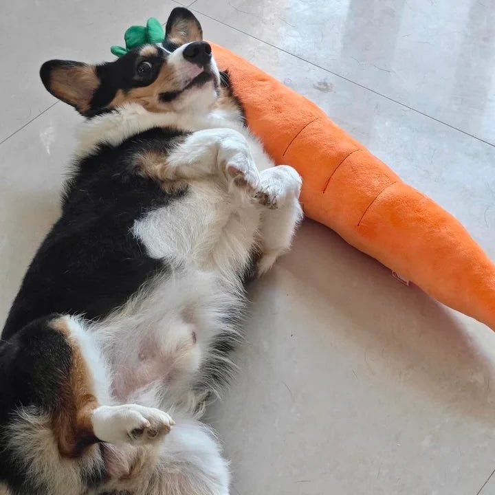 Calming Carrot — Plush Comfort Toy - Image 11