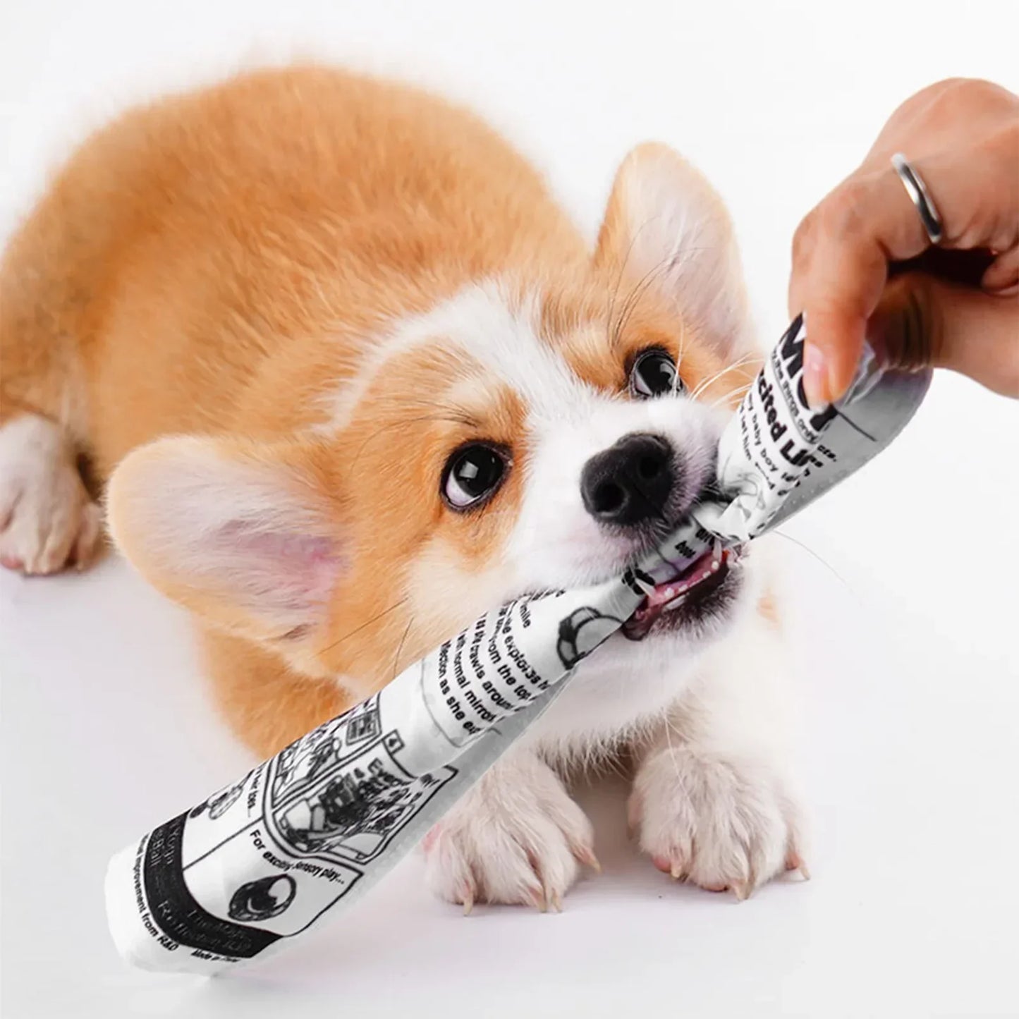 The PuppyTimes — Interactive Puppy Training Toy - Image 4
