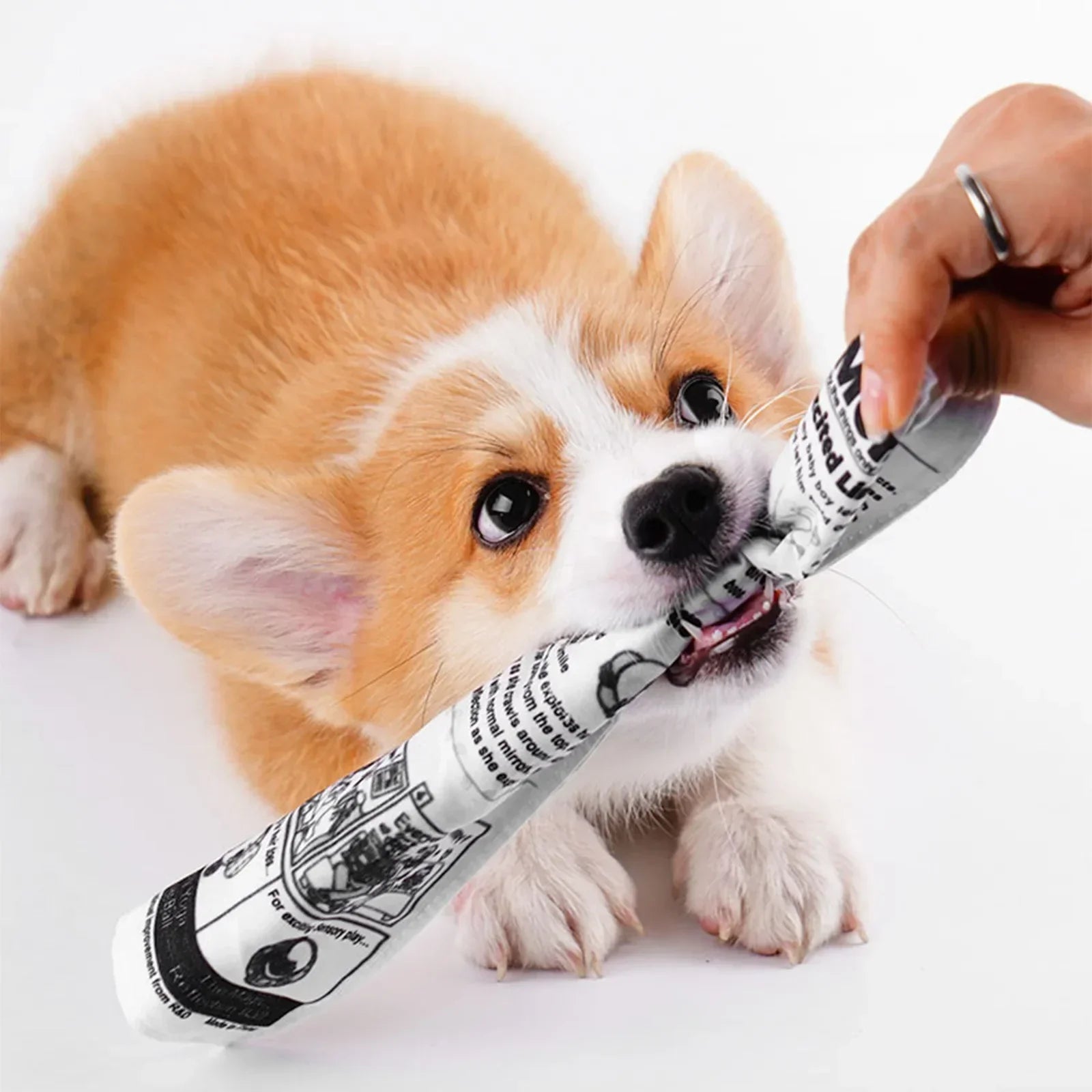 The PuppyTimes — Interactive Puppy Training Toy - Image 4
