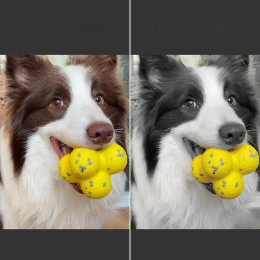 Calming Ball — Anti-Anxiety Sensory Toy - Image 2
