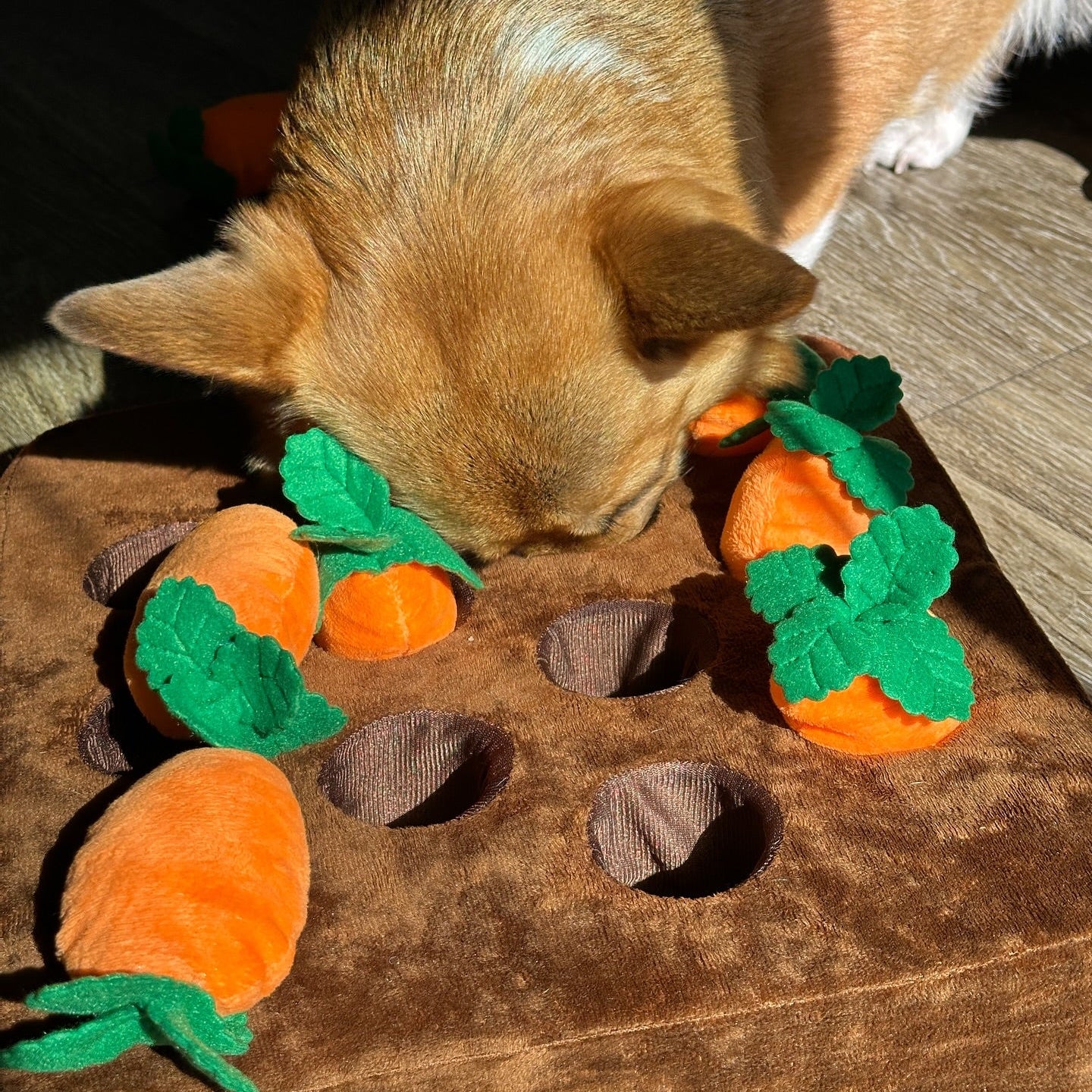 Game of Carrots — Interactive Nose Work Snuffle Toy - Image 3