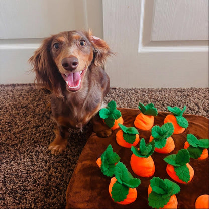 Game of Carrots — Interactive Nose Work Snuffle Toy - Image 1
